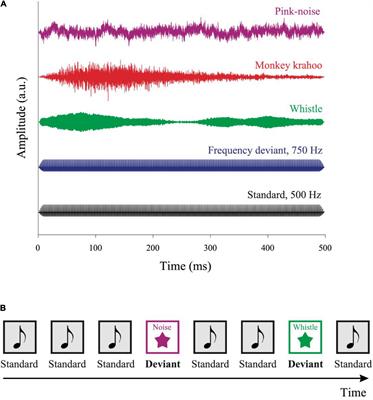 Comparison of Pupil Dilation Responses to Unexpected Sounds in Monkeys and Humans